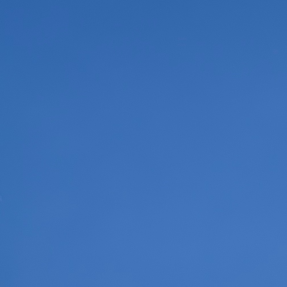 Meet your Posher, Saydee